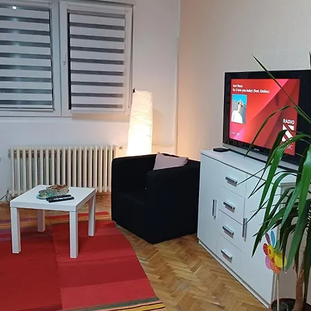 Apartment Summer Vibes